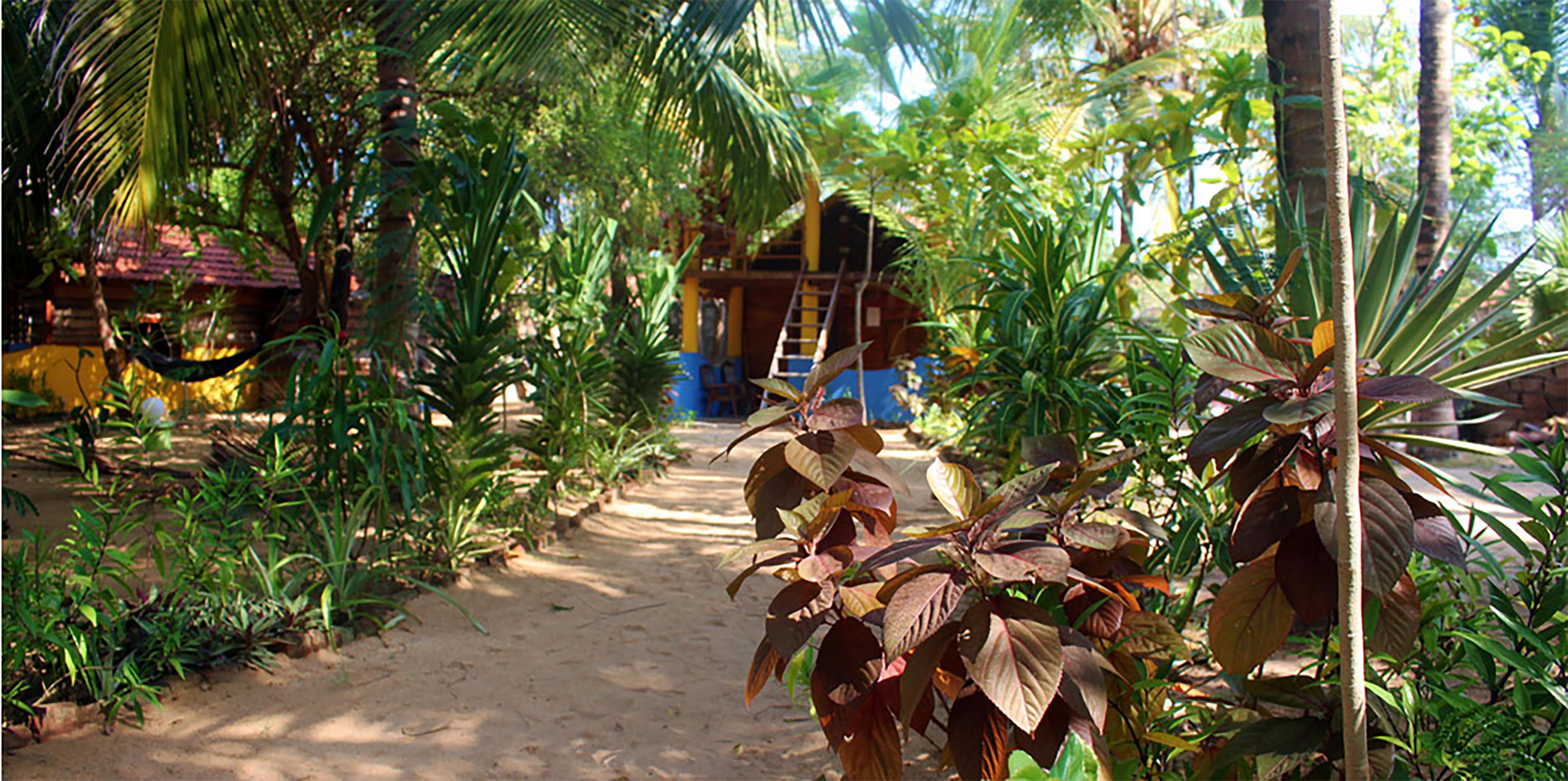 The Breezy Beach Cabanas