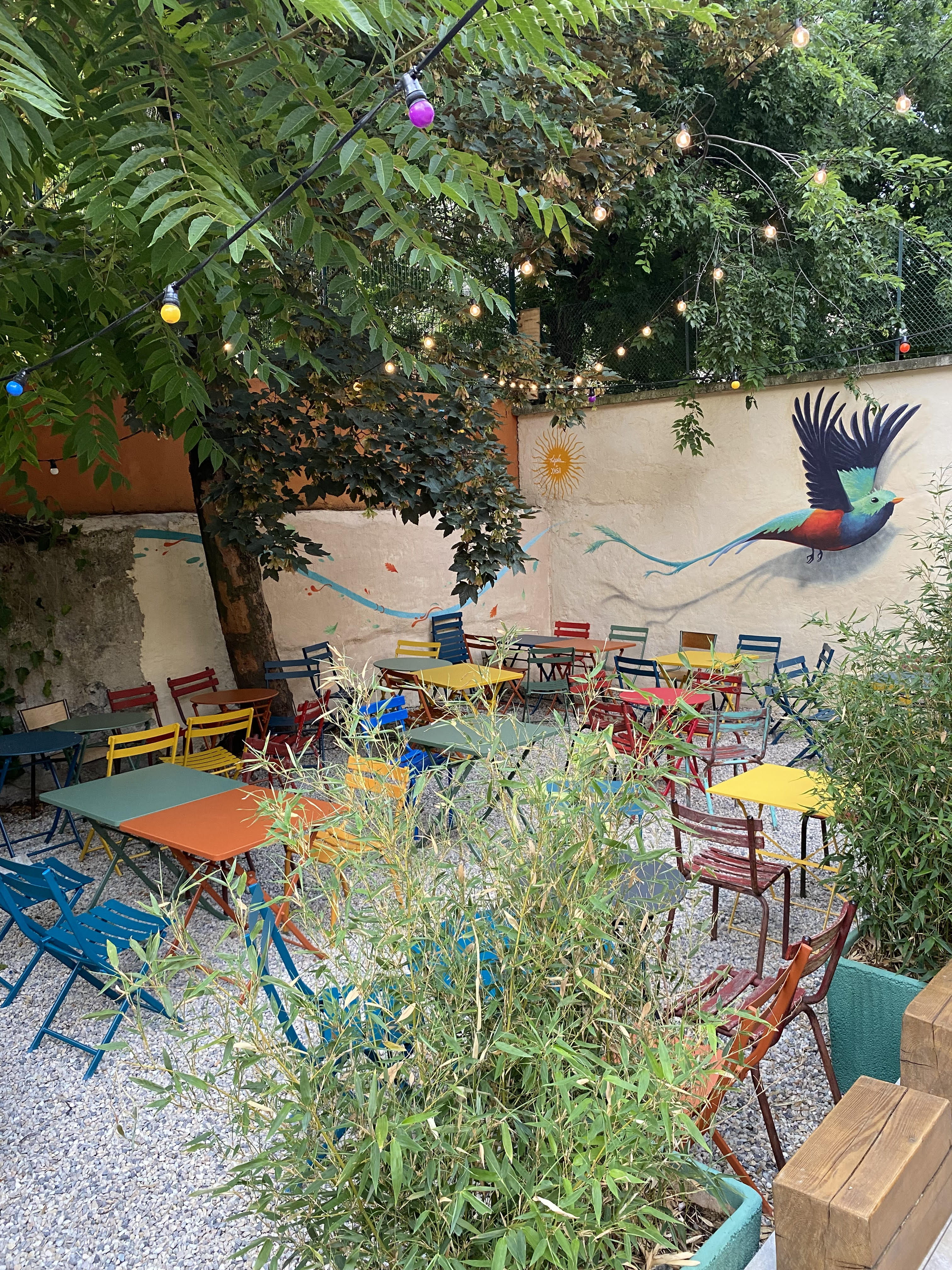 Yasi Hostel