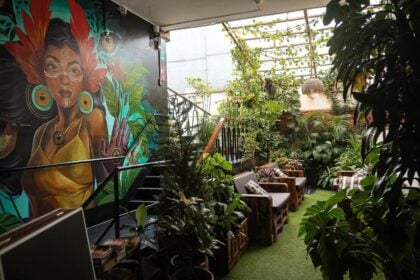 Black Llama Hostel 12