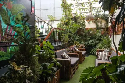 Black Llama Hostel 17