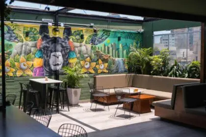 Black Llama Hostel 5