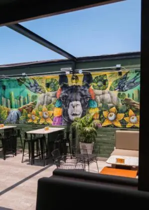 Black Llama Hostel 6