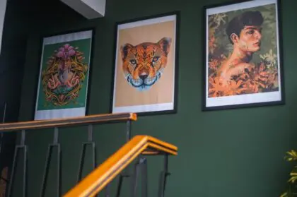 Black Llama Hostel 9