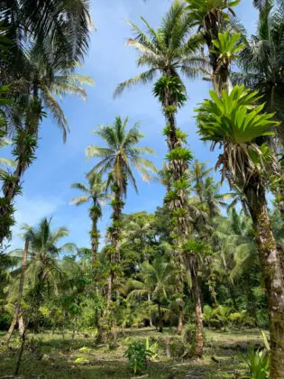 Bocas del Toro, Panamá - lex-cedeno-0A4dACGfatY-unsplash