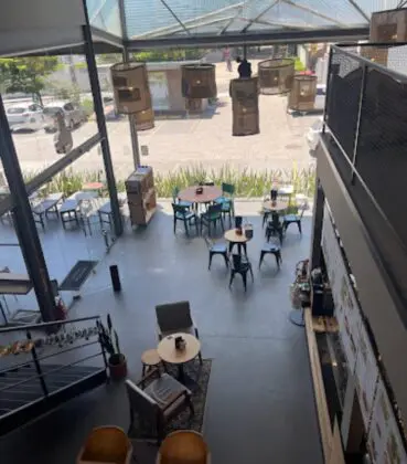 Café Cultura Arbo Novo Campeche (1)
