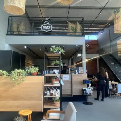 Café Cultura Arbo Novo Campeche (5)