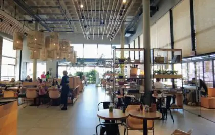 Café Cultura Lagoa (7)