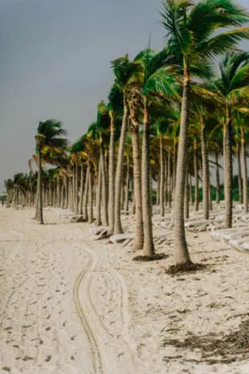 Cancún, México - ahmed-zalabany-ucbX0Whb_x4-unsplash