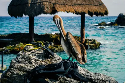Cancún, México - alex-braga-OmX2fyM2HOs-unsplash