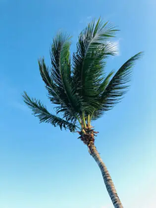 Cancún, México - ray-skinner-aFzOJHR9R5E-unsplash