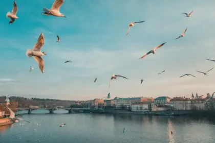 Czech-Republic-Prague-anthony-delanoix-btQt9i0Krag-unsplash