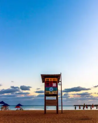 Fortaleza - Alexandre Barbosa