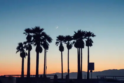 Los Angeles, United States - viviana-rishe-uGrs3LQjGbI-unsplash
