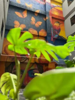 Los Patios Cool Living 12