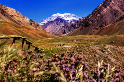 Mendoza by Nicolas Perez