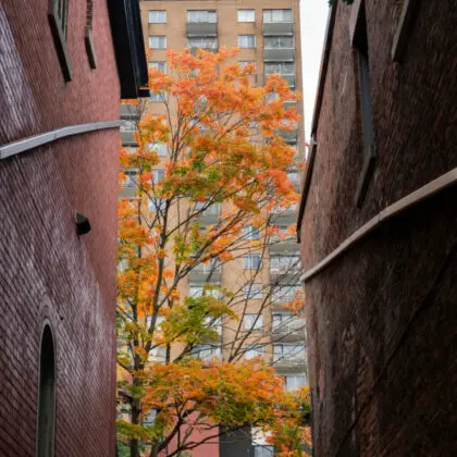Montreal, Canada - sepehr-sajjadieh-9uYDcFdGbYo-unsplash
