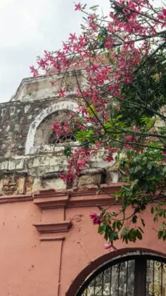 Oaxaca, Mexico - anastasiia-malai--zBbqvkAkvo-unsplash