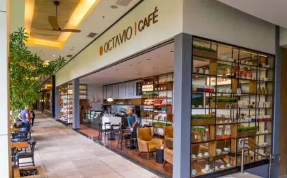 Octavio Café 3