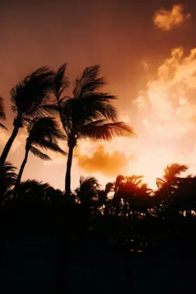 Playa del carmen, Mexico - braden-collum-5gGWnxHjEjc-unsplash