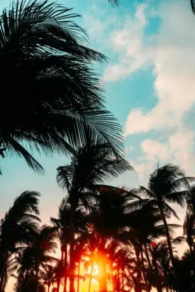 Playa del carmen, Mexico - braden-collum-rTLU6m356Io-unsplash