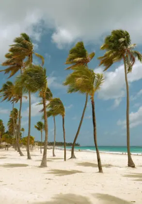 Punta Cana, Dominican Republic - ardian-lumi-59-Q81NyH_Y-unsplash