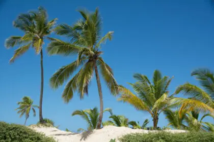 Punta Cana, Dominican Republic - david-hughes-46v-Bmst0ZI-unsplash
