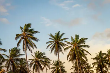 Punta Cana, Dominican Republic - thomas-lefebvre-V63oM8OPJSo-unsplash