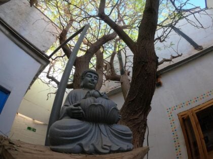 Rey Lagarto Hostel 11