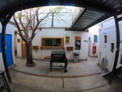 Rey Lagarto Hostel 15