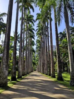 Rio de Janeiro - Vanderley Gonçalves