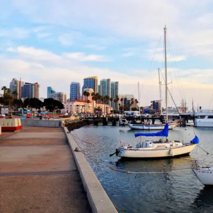 San Diego, United States - big-tiny-belly-1Xw7GWnivl4-unsplash