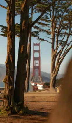 San Francisco - United States - peter-aroner-FtCHWeM2aWI-unsplash