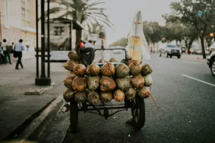 Santo Domingo, República Dominicana - hannah-busing-4l1hEB6netE-unsplash