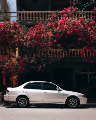 Santo Domingo, República Dominicana - raul-de-los-santos-QRJDzV6W6Ic-unsplash