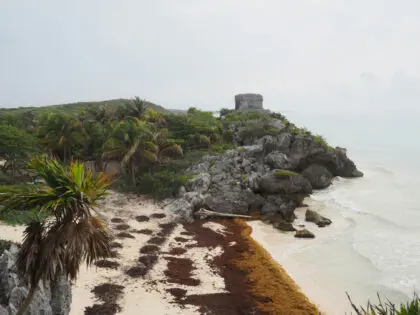 Tulum, Mexico - dave-kim-Hf6LbLIVbPE-unsplash
