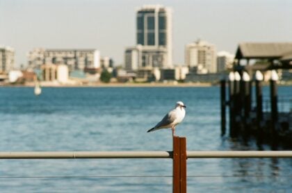 australia-perth-viet-hoang-duc-14pACj6oHTc-unsplash