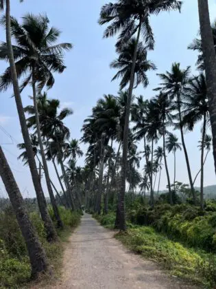 india-goa-vincenzo-cassano-GbZ7yRayOzs-unsplash