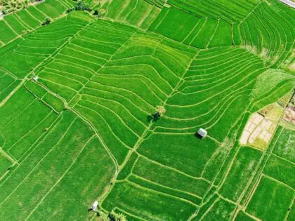 indonesia-canggu-ines-alvarez-fdez-OTdmEW5HArg-unsplash