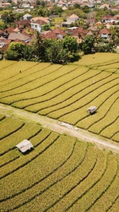 indonesia-canggu-kaspars-upmanis-rZ4OSmngsQw-unsplash
