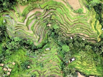indonesia-ubud-chema-photo-xBN62x8T-fw-unsplash