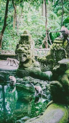 indonesia-ubud-green-yang-89cO9w0cL0k-unsplash