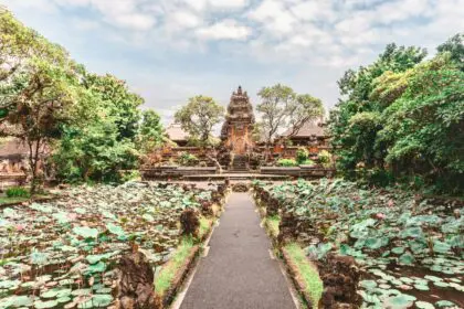 indonesia-ubud-johnny-africa-hic6wi_Ffjg-unsplash