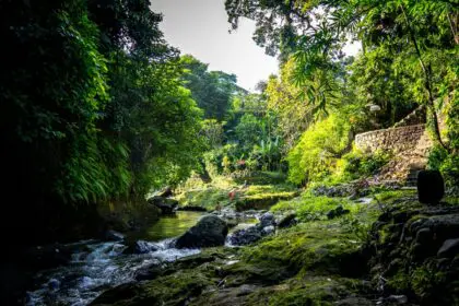indonesia-ubud-niklas-weiss-8-mLDU7iu2A-unsplash