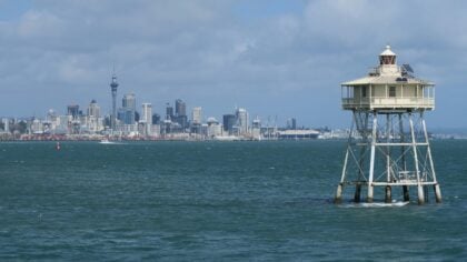 new-zeland-auckland-reel-focus-productions-8WKCepcaqLM-unsplash
