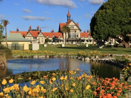 new-zeland-rotorua-hongbin-rbnsE9ifNPk-unsplash