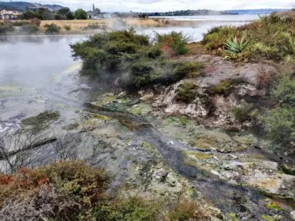 new-zeland-rotorua-punyashree-venkatram-3gp6zsWBjoY-unsplash