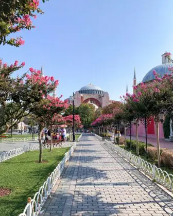turkey - istambul - shifan-hassan-C84cP0Q2j3E-unsplash